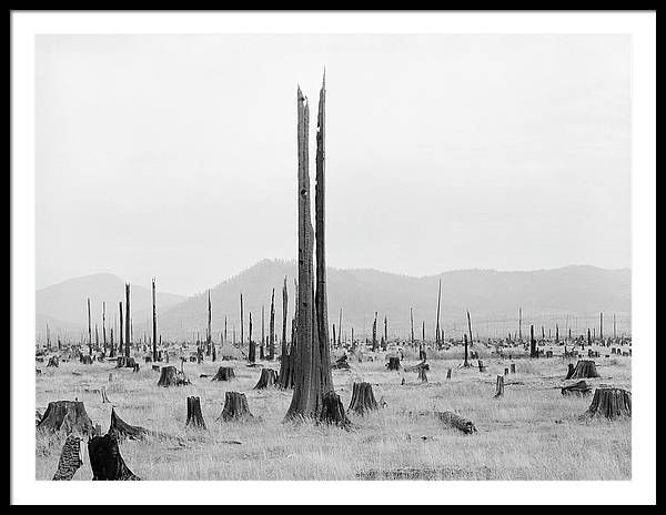 Priest River Valley, Idaho / Art Photo - Framed Print