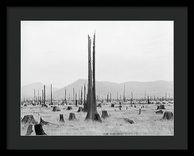 Priest River Valley, Idaho / Art Photo - Framed Print