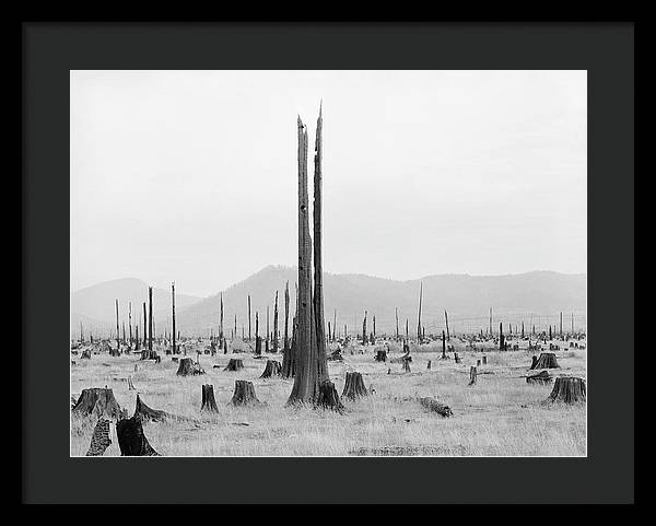 Priest River Valley, Idaho / Art Photo - Framed Print