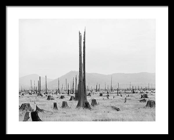 Priest River Valley, Idaho / Art Photo - Framed Print