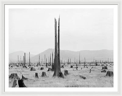 Priest River Valley, Idaho / Art Photo - Framed Print