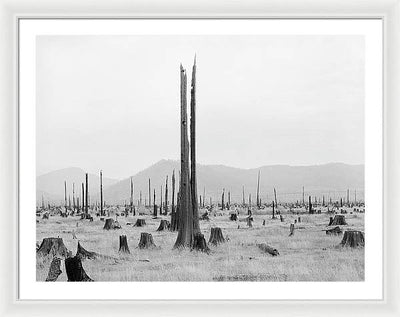 Priest River Valley, Idaho / Art Photo - Framed Print