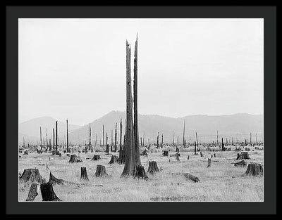 Priest River Valley, Idaho / Art Photo - Framed Print