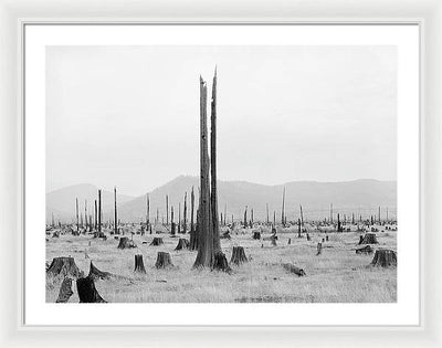 Priest River Valley, Idaho / Art Photo - Framed Print