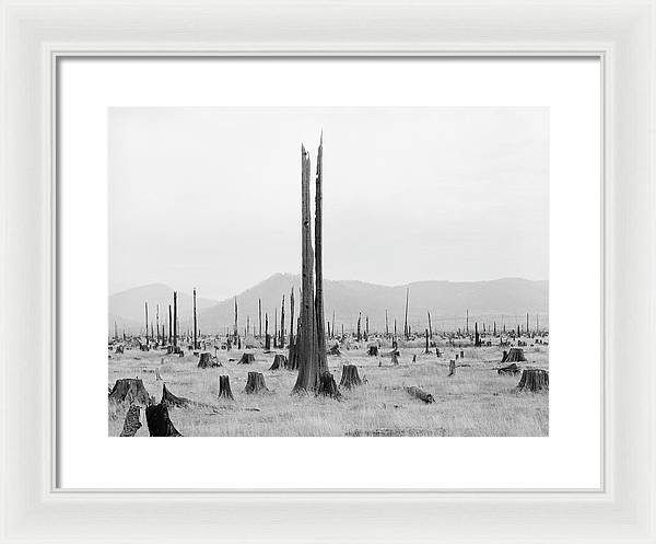 Priest River Valley, Idaho / Art Photo - Framed Print