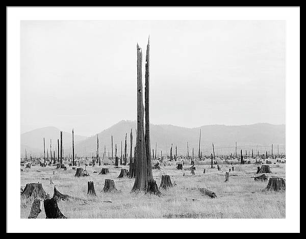 Priest River Valley, Idaho / Art Photo - Framed Print