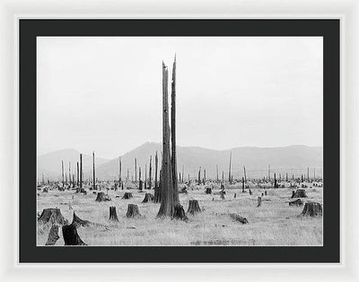 Priest River Valley, Idaho / Art Photo - Framed Print