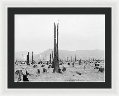 Priest River Valley, Idaho / Art Photo - Framed Print