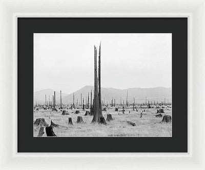 Priest River Valley, Idaho / Art Photo - Framed Print