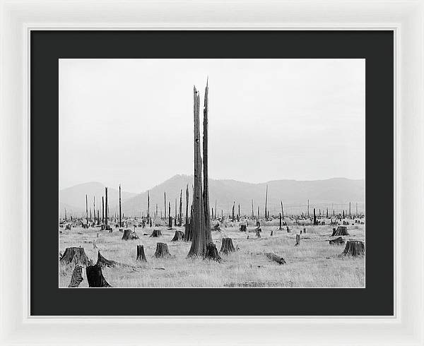 Priest River Valley, Idaho / Art Photo - Framed Print