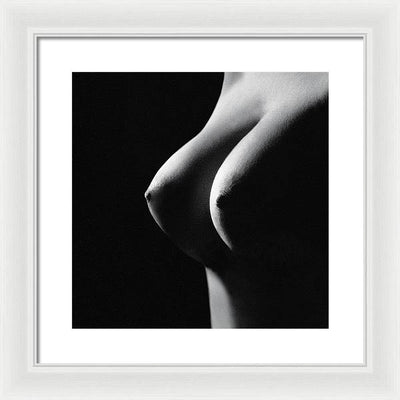 ref 69-44 / Art Photo - Framed Print