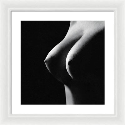 ref 69-44 / Art Photo - Framed Print