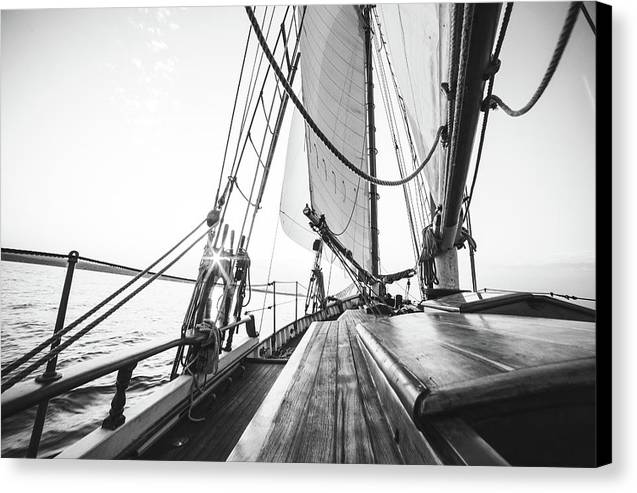 Sail Boat,Monochrome 