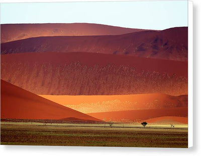 Sand Dunes, Namibia #2 / Art Photo - Canvas Print