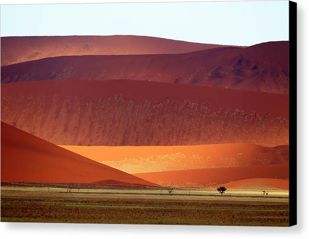 Sand Dunes, Namibia 