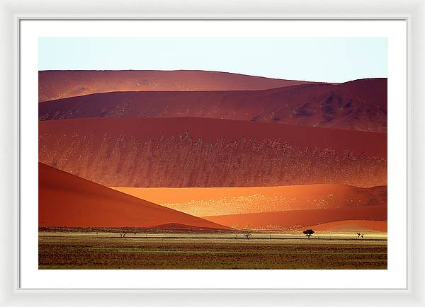 Sand Dunes, Namibia 