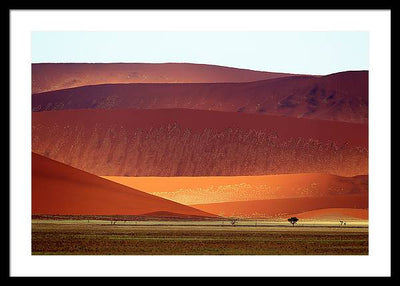 Sand Dunes, Namibia #2 / Art Photo - Framed Print