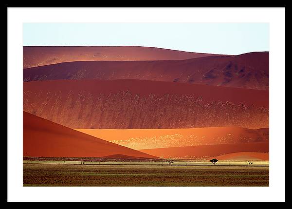 Sand Dunes, Namibia 