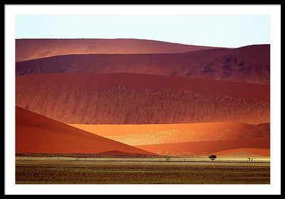 Sand Dunes, Namibia #2 / Art Photo - Framed Print