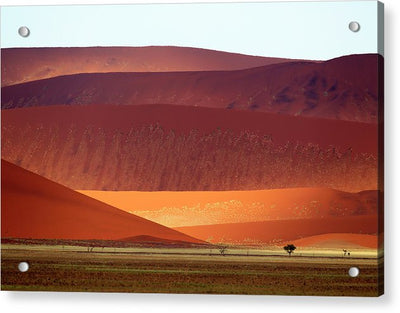 Sand Dunes, Namibia #2 / Art Photo - Acrylic Print