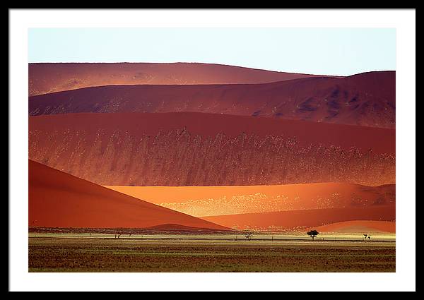 Sand Dunes, Namibia 