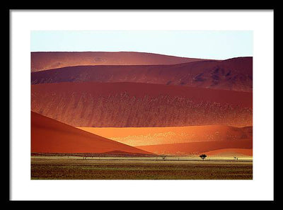 Sand Dunes, Namibia #2 / Art Photo - Framed Print