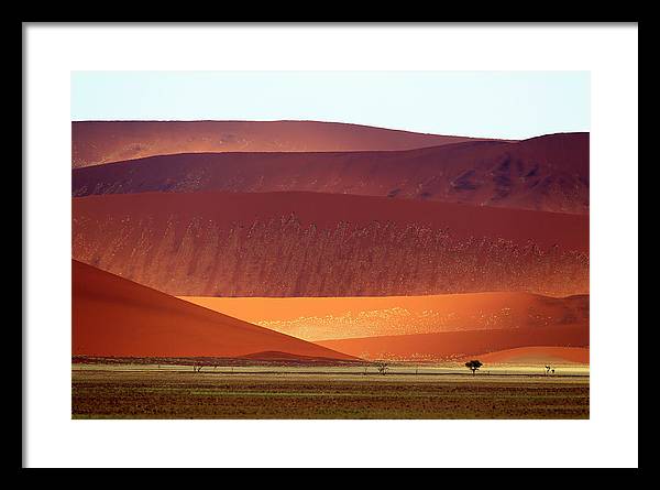 Sand Dunes, Namibia 