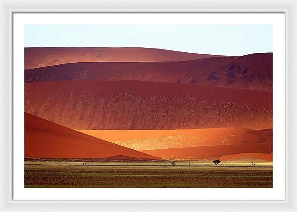 Sand Dunes, Namibia 