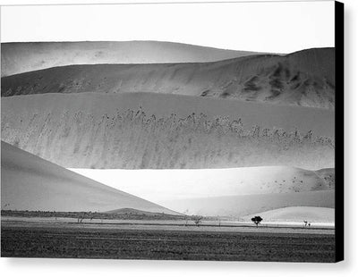 Sand Dunes, Namibia, Black and White #1 / Art Photo - Canvas Print