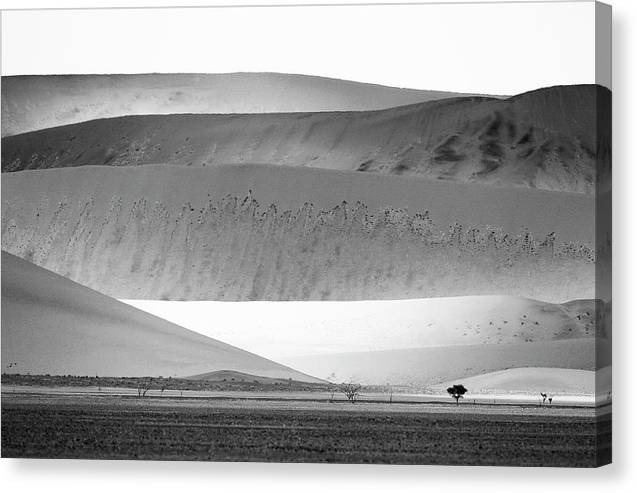 Sand Dunes, Namibia, Black and White 