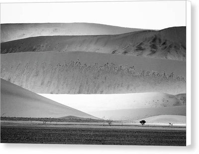 Sand Dunes, Namibia, Black and White #1 / Art Photo - Canvas Print