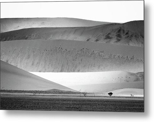 Sand Dunes, Namibia, Black and White 