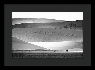 Sand Dunes, Namibia, Black and White #1 / Art Photo - Framed Print