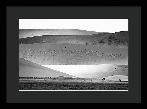 Sand Dunes, Namibia, Black and White 