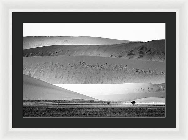 Sand Dunes, Namibia, Black and White 