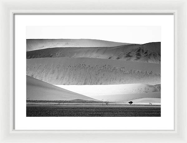 Sand Dunes, Namibia, Black and White 