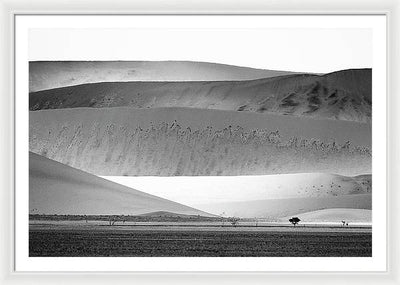 Sand Dunes, Namibia, Black and White #1 / Art Photo - Framed Print