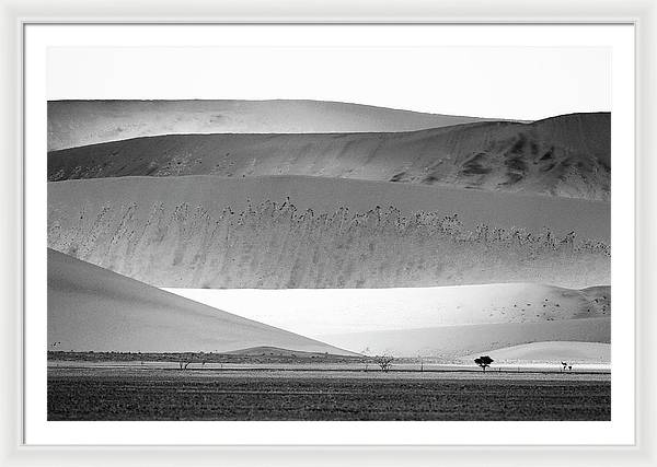 Sand Dunes, Namibia, Black and White 