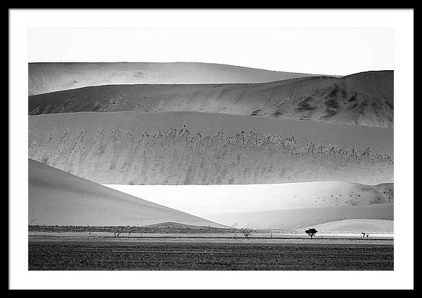 Sand Dunes, Namibia, Black and White 