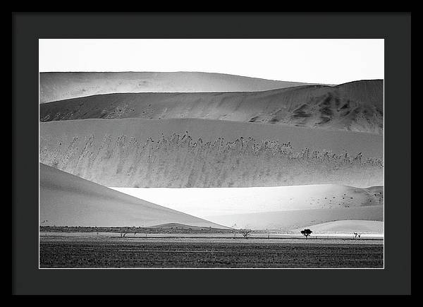 Sand Dunes, Namibia, Black and White 