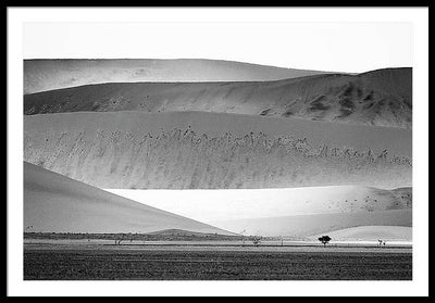 Sand Dunes, Namibia, Black and White #1 / Art Photo - Framed Print