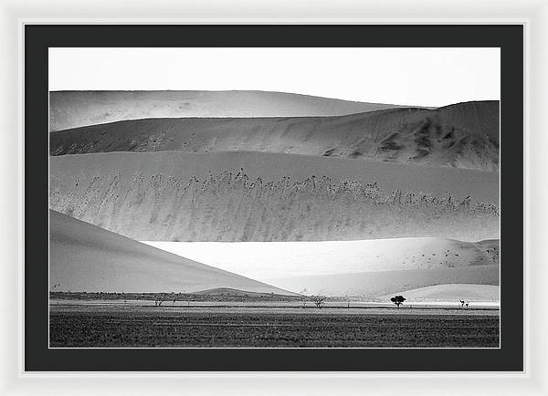 Sand Dunes, Namibia, Black and White 