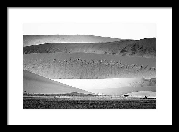 Sand Dunes, Namibia, Black and White 