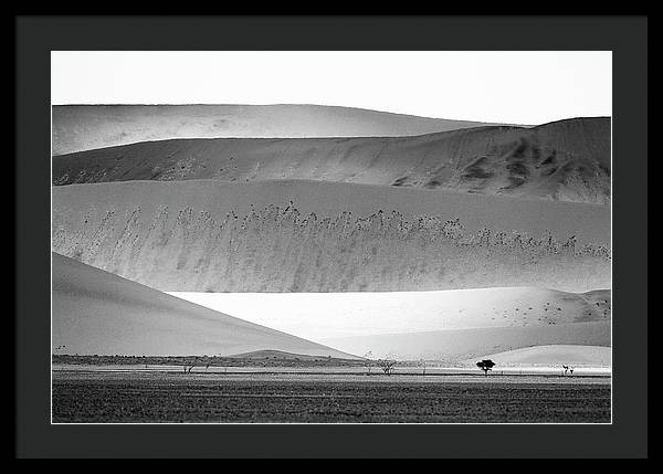 Sand Dunes, Namibia, Black and White 