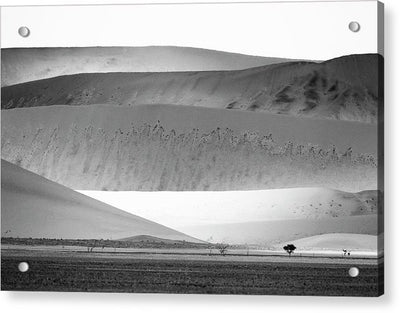 Sand Dunes, Namibia, Black and White #1 / Art Photo - Acrylic Print