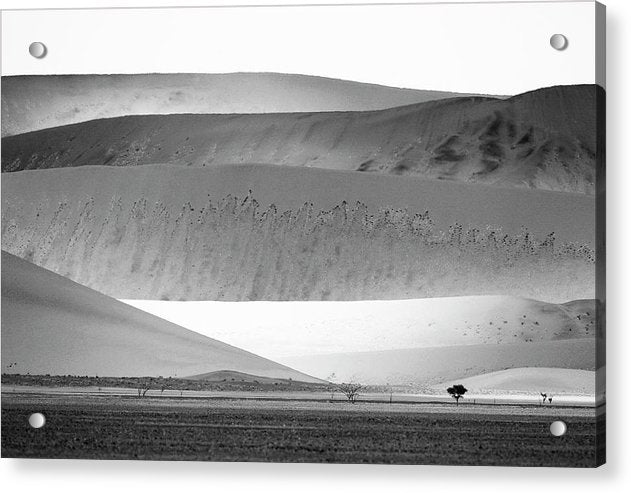 Sand Dunes, Namibia, Black and White 