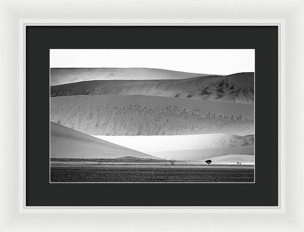 Sand Dunes, Namibia, Black and White 