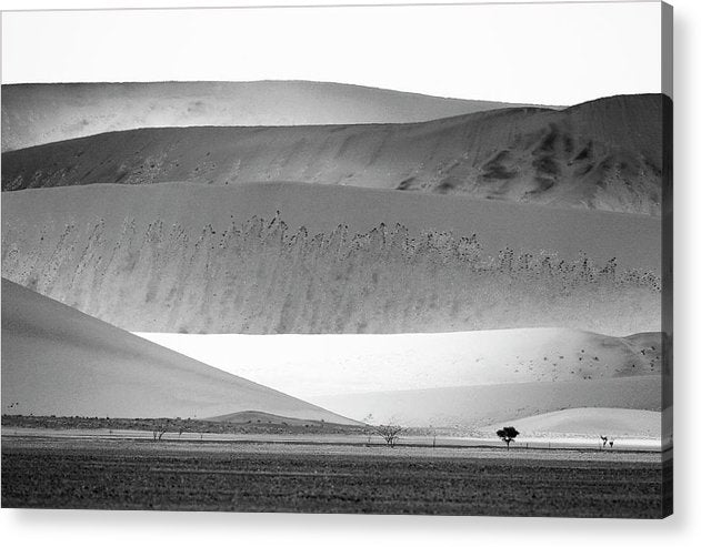 Sand Dunes, Namibia, Black and White 