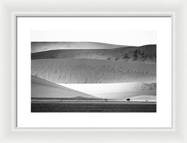 Sand Dunes, Namibia, Black and White 