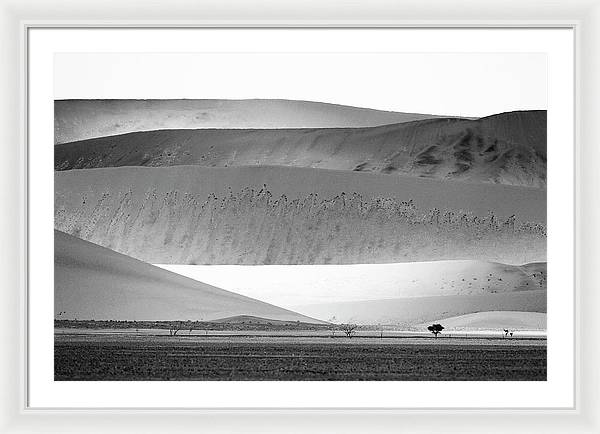 Sand Dunes, Namibia, Black and White 